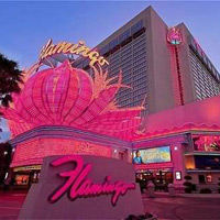 Flamingo Las Vegas